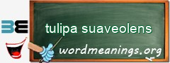 WordMeaning blackboard for tulipa suaveolens